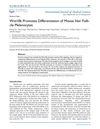 Wnt10b Promotes Differentiation of Mouse Hair Follicle Melanocytes