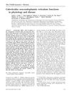 Calreticulin: Non-Endoplasmic Reticulum Functions in Physiology and Disease