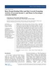 Burn Wound Healing Effect and Hair Growth Promoting Activity of Lawsonia Inermis L. and Honey in Oryctolagus Cuniculus Rabbits