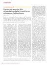 Unexpected Autocrine Role of Vascular Endothelial Growth Factor in Squamous Cell Carcinoma