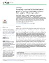 Autophagy Is Essential for Maintaining the Growth of a Human Mini-Organ: Evidence from Scalp Hair Follicle Organ Culture