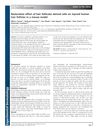 Restorative Effect of Hair Follicular Dermal Cells on Injured Human Hair Follicles in a Mouse Model