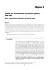 Isolation and Characterization of Cutaneous Epithelial Stem Cells