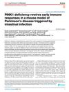 Pink1 Deficiency Rewires Early Immune Responses in a Mouse Model of Parkinson’s Disease Triggered by Intestinal Infection