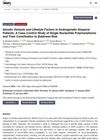 Genetic Variants and Lifestyle Factors in Androgenetic Alopecia Patients: A Case-Control Study of Single Nucleotide Polymorphisms and Their Contribution to Baldness Risk