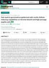 Hair Matrix Germinative Epidermal Cells Confer Follicle-Inducing Capabilities on Dermal Sheath and High Passage Papilla Cells