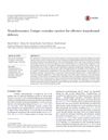 Transferosomes: Unique Vesicular Carriers for Effective Transdermal Delivery