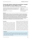 Functionally Distinct Melanocyte Populations Revealed by Reconstitution of Hair Follicles in Mice