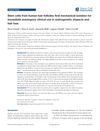 Stem Cells from Human Hair Follicles: First Mechanical Isolation for Immediate Autologous Clinical Use in Androgenetic Alopecia and Hair Loss