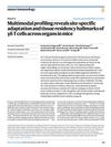 Multimodal Profiling Reveals Site-Specific Adaptation and Tissue Residency Hallmarks of Gamma Delta T Cells Across Organs in Mice