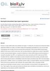 Neutrophil Extracellular Traps Impair Regeneration