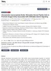 Atractylodes Macrocephala Koidz. Stimulates Dermal Papilla Cells to Promote Anagen Entry Associated with GSK3β/β-Catenin Signaling