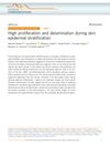 High Proliferation and Delamination During Skin Epidermal Stratification