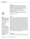 Rapid Generation of Homogenous Tumor Spheroid Microtissues in a Scaffold-Free Platform for High-Throughput Screening of a Novel Combination Nanomedicine