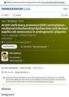 ACOD1 Deficiency Promotes DDX1 Methylation-Mediated Mitochondrial Dysfunction And Dermal Papilla Cell Senescence In Androgenetic Alopecia