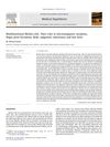Multifunctional Merkel Cells: Their Roles in Electromagnetic Reception, Fingerprint Formation, Reiki, Epigenetic Inheritance, and Hair Form