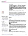 Pan-Cancer Analysis of MicroRNA Expression Profiles Highlights MicroRNAs Enriched in Normal Body Cells as Effective Suppressors of Multiple Tumor Types: A Study Based on TCGA Database