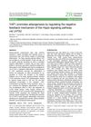 YAP1 Promotes Adipogenesis by Regulating the Negative Feedback Mechanism of the Hippo Signaling Pathway via LATS2