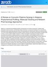 A Review on Curcumin-Piperine Synergy in Alopecia: Phytochemical Profiling, Molecular Docking and Network Pharmacology Approaches