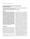 Ligand-Independent Regulation of the Hairless Promoter by Vitamin D Receptor