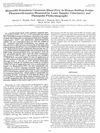 Minoxidil Stimulates Cutaneous Blood Flow in Human Balding Scalps: Pharmacodynamics Measured by Laser Doppler Velocimetry and Photopulse Plethysmography