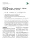 Polycystic Ovary Syndrome, Insulin Resistance, and Obesity: Navigating the Pathophysiologic Labyrinth