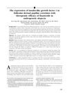 The Expression of Insulin-Like Growth Factor 1 in Follicular Dermal Papillae Correlates with Therapeutic Efficacy of Finasteride in Androgenetic Alopecia