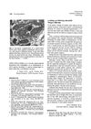A Falling Out Following Minoxidil: Telogen Effluvium