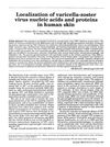Localization of Varicella-Zoster Virus Nucleic Acids and Proteins in Human Skin