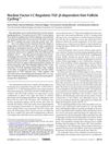 Nuclear Factor I-C Regulates TGF-β-dependent Hair Follicle Cycling