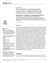 Amnion Bilayer for Dressing and Graft Replacement for Delayed Grafting of Full-Thickness Burns: A Study in a Rat Model