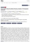 Tinea Capitis Induced by Barber Shaving: Isolation of Trichophyton Tonsurans