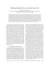 Building Epithelial Tissues From Skin Stem Cells