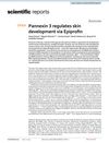 Pannexin 3 Regulates Skin Development via Epiprofin
