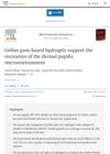 Gellan Gum-Based Hydrogels Support the Recreation of the Dermal Papilla Microenvironment
