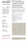 The Cascading Pathogenic Consequences of Sarcoptes Scabiei Infection That Manifest in Host Disease