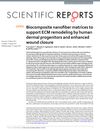 Biocomposite Nanofiber Matrices to Support ECM Remodeling by Human Dermal Progenitors and Enhanced Wound Closure