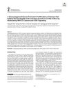 3-Deoxysappanchalcone Promotes Proliferation of Human Hair Follicle Dermal Papilla Cells and Hair Growth in C57BL/6 Mice by Modulating WNT/β-Catenin and STAT Signaling