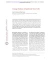 Lineage Analysis of Epidermal Stem Cells