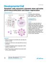 Apoptotic Cells Represent a Dynamic Stem Cell Niche Governing Proliferation and Tissue Regeneration
