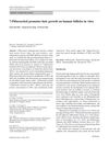 7-Phloroeckol Promotes Hair Growth on Human Follicles In Vitro