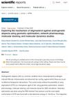Exploring the Mechanism of Stigmasterol Against Androgenetic Alopecia Using Geometry Optimization, Network Pharmacology, Molecular Docking, and Molecular Dynamics Studies