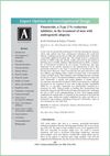 Finasteride, a Type 2 5α-Reductase Inhibitor, in the Treatment of Men with Androgenetic Alopecia