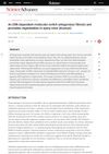 An ERK-Dependent Molecular Switch Antagonizes Fibrosis and Promotes Regeneration in Spiny Mice