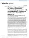 Effect of Drying Conditions on the Chemical Compositions, Molecular Docking Interactions, and Antioxidant Activity of Hedychium Spicatum Buch.-Ham. Rhizome Essential Oil