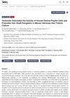Tectoridin Stimulates the Activity of Human Dermal Papilla Cells and Promotes Hair Shaft Elongation in Mouse Vibrissae Hair Follicle Culture