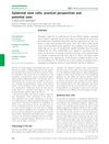 Epidermal Stem Cells: Practical Perspectives and Potential Uses