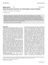 Spatiotemporal Dynamics of Mammalian Wound Healing