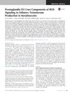 Prostaglandin D2 Uses Components of ROS Signaling to Enhance Testosterone Production in Keratinocytes