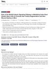 Role of the Wnt/β-Catenin Signaling Pathway in Mediating Outer Root Sheath Stem Cells to Promote Hair Follicle Regeneration and Skin Wound Healing in Mice